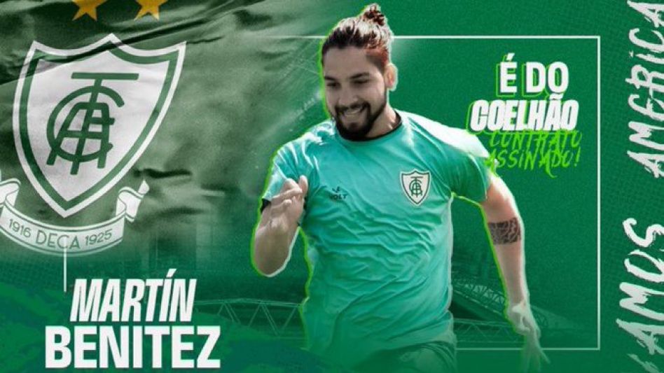 Martín pescador