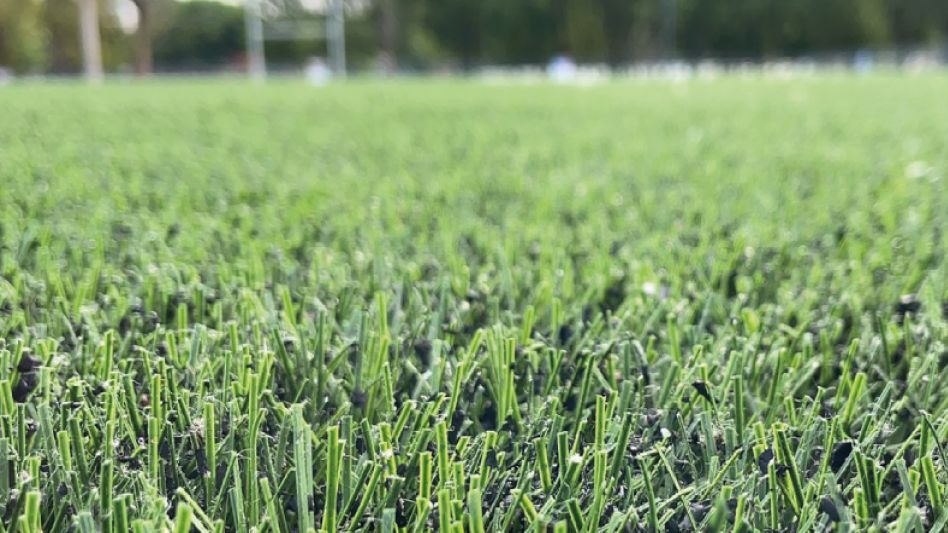 Dos canchas nuevas