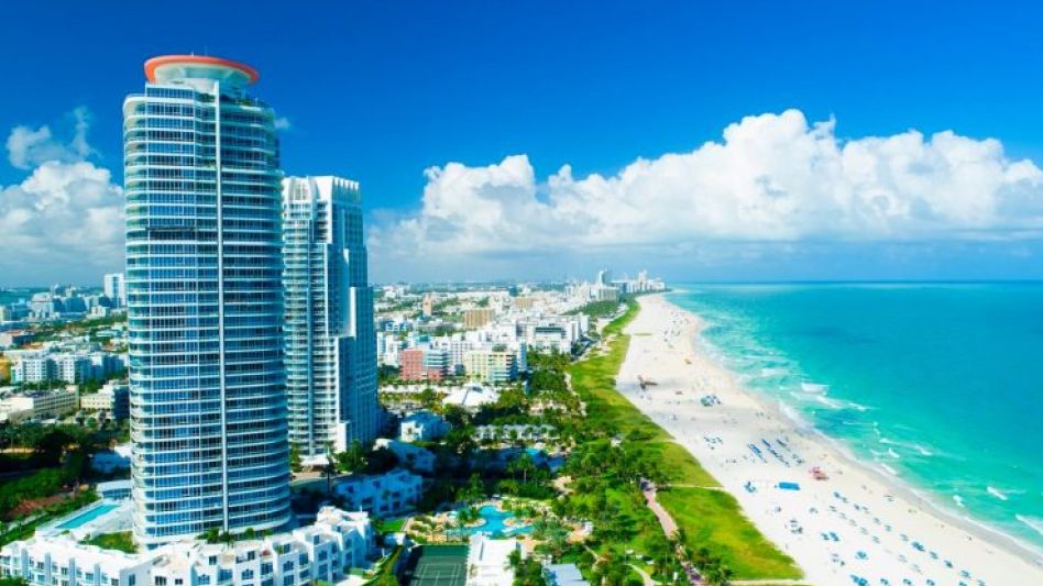Miami bitch
