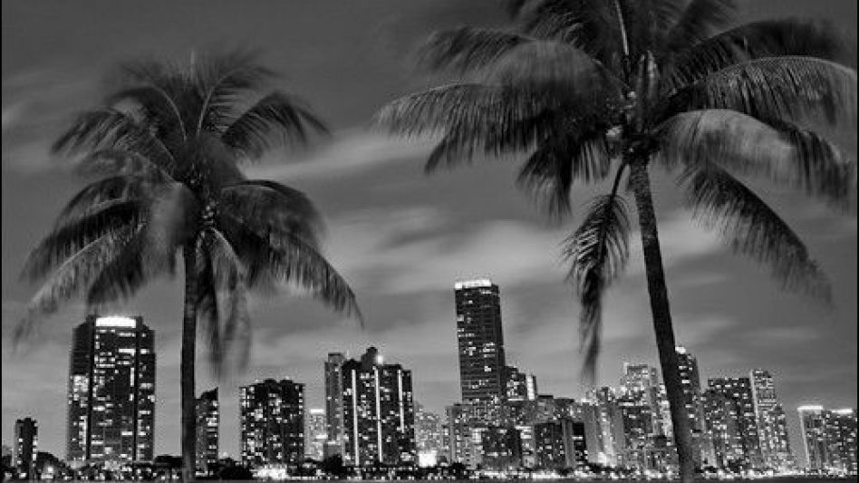 Blanco y negro