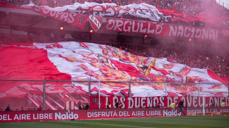 Bicho de ciudad