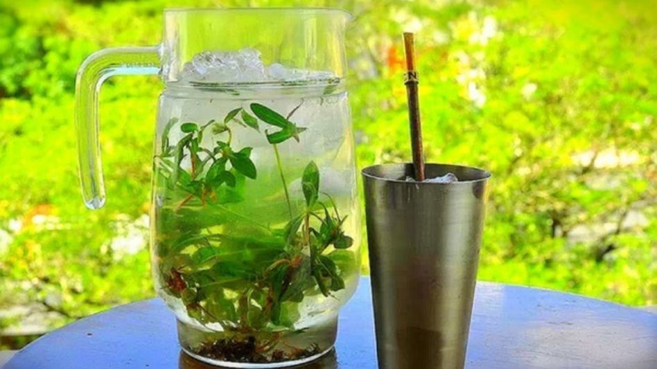 Endulzá el tereré
