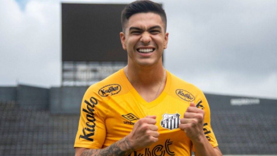 ¿Se viene el Pitbull?