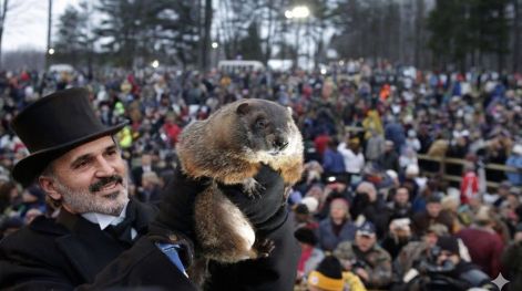 El día de la marmota